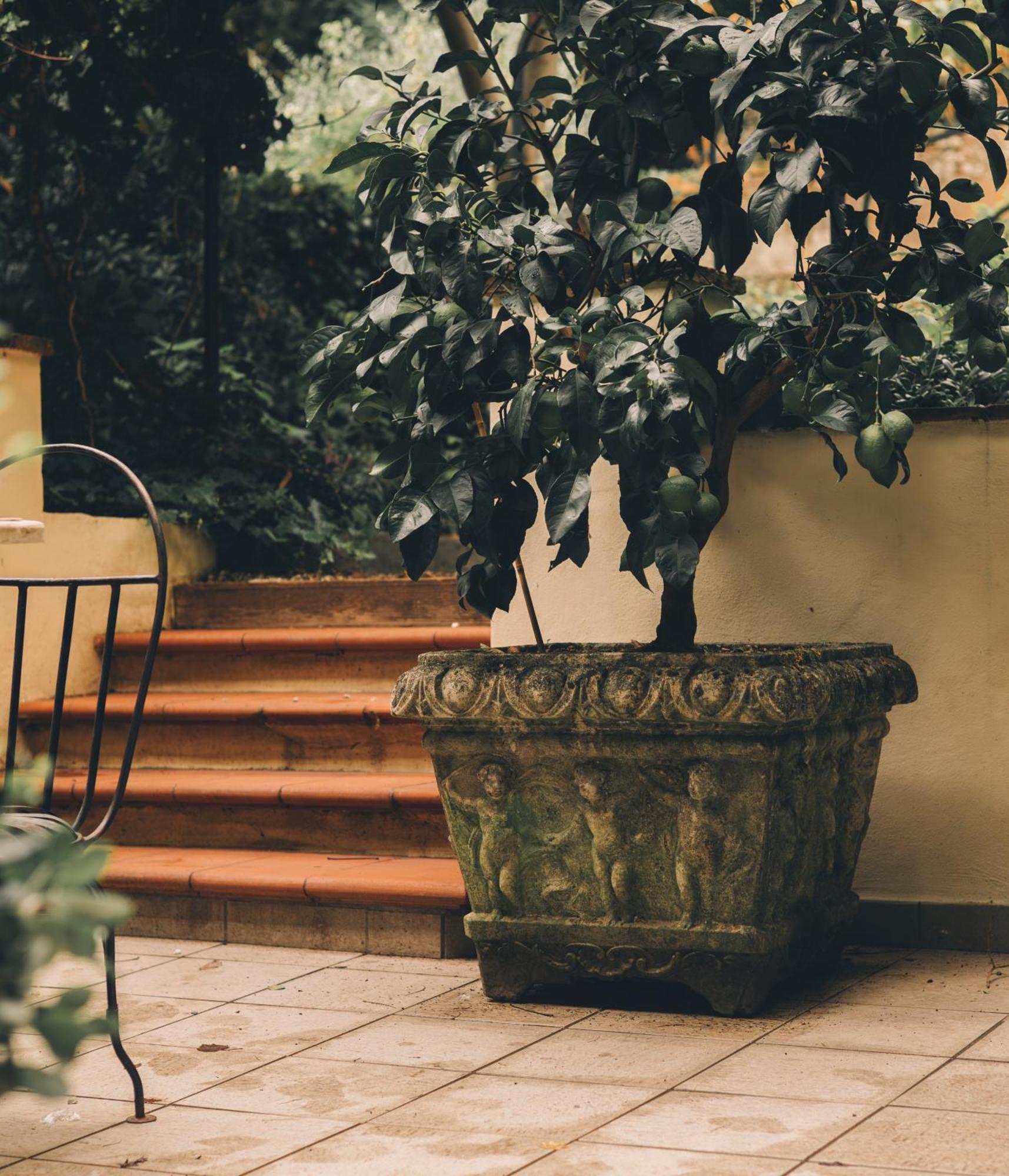 Casa Profumoir - Olfactive Experience *